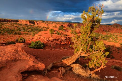 Capitol Reef National Park - Pix on Trips