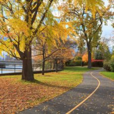 Fall Colours in Ottawa - Pix on Trips