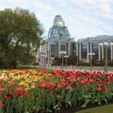 Ottawa Tulip Festival - Pix on Trips