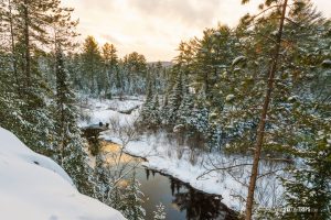 Winter landscape of a wilderness park - Pix on Trips