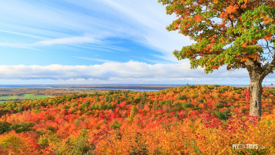Fall colors in Ottawa Valley, Canada