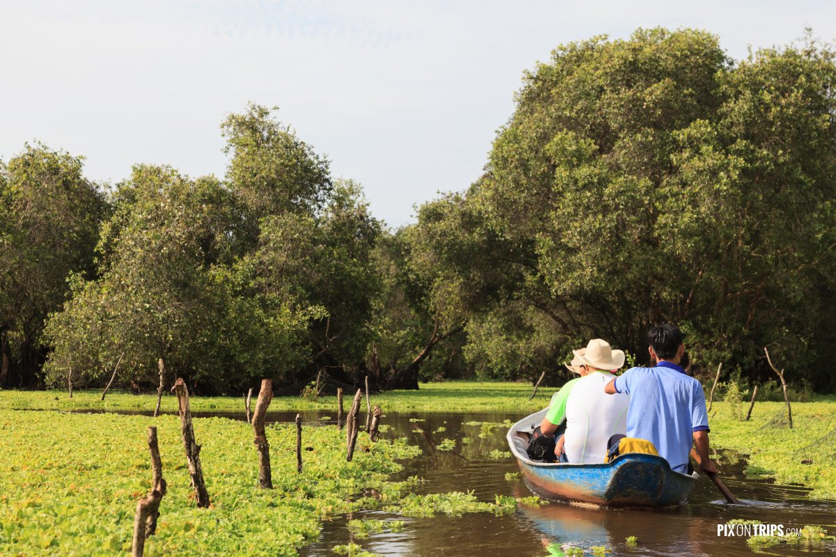 Paddling in waters of Tra Su Bird Sanctuary, Vietnam - Pix on Trips