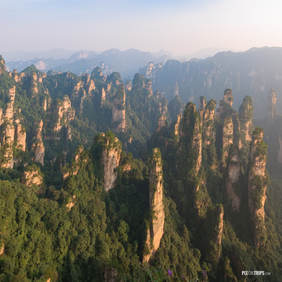 Zhangjiajie National Forest Park, Hunan, China - Pix on Trips