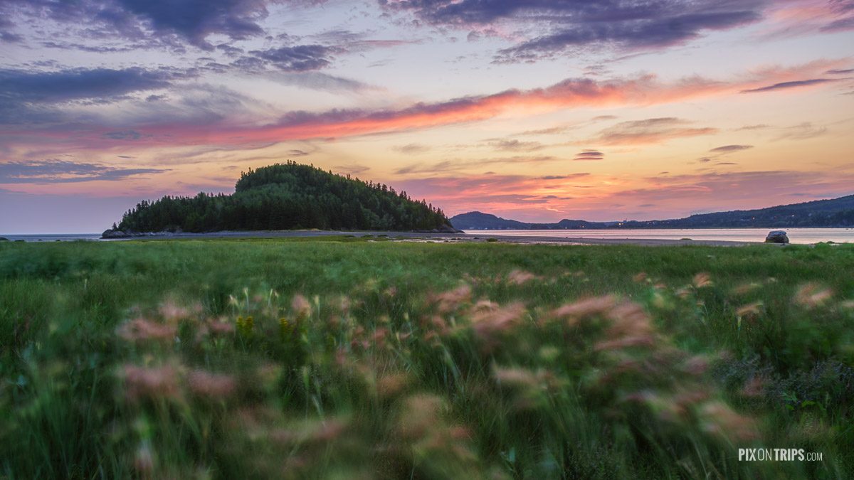 Parc National du Bic of Quebec at sunrise with blurry pink flowers in the foreground - Pix on Trips