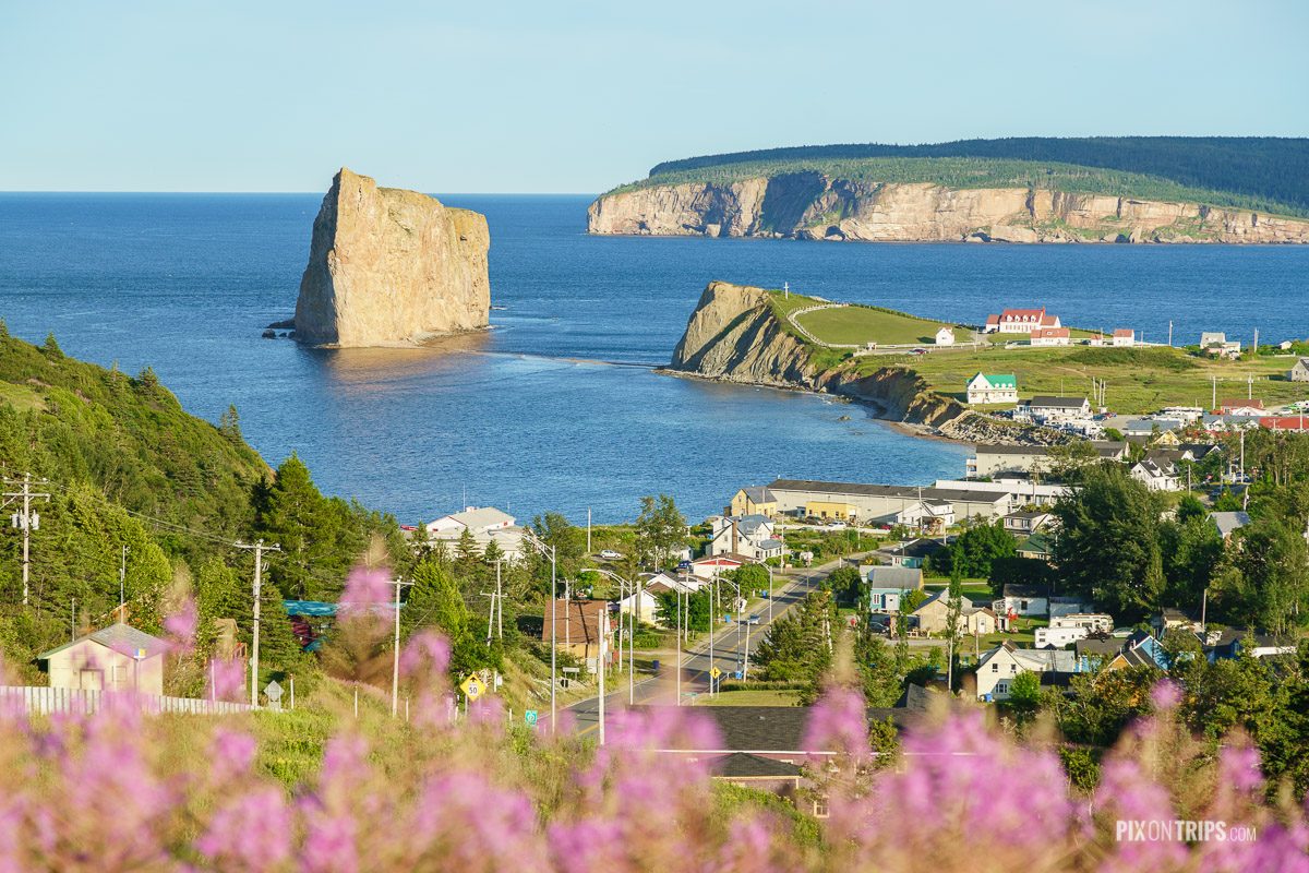 Town of Perce, Quebec in summer with pink wild flower in the foreground