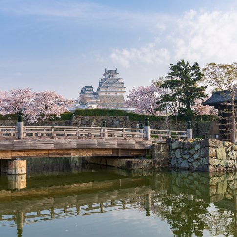 The Himeji Castle during cherry blossom blooming season - Pix on Trips