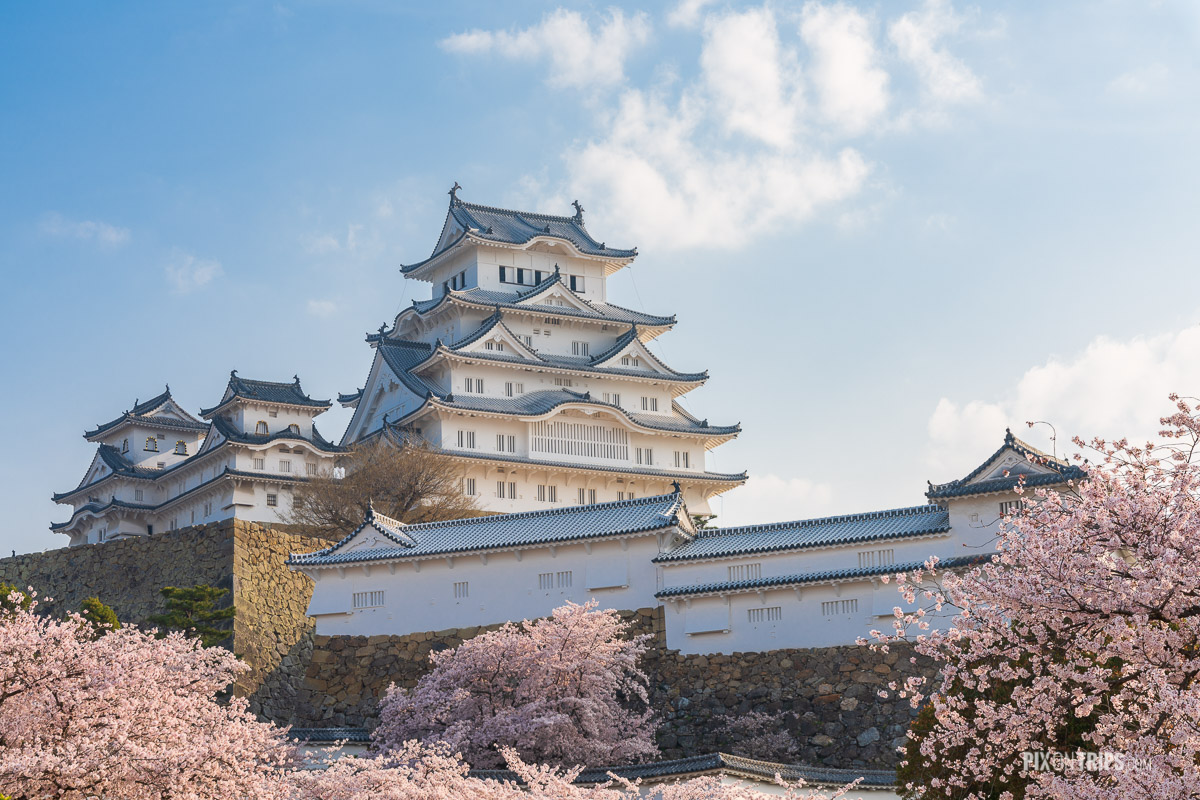 The Himeji Castle during cherry blossom blooming season - Pix on Trips