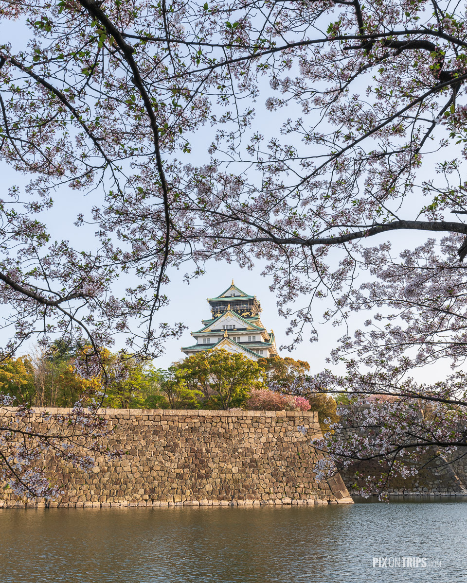 Osaka Castle and the outer moat during cherry blossom blooming season - Pix on Trips